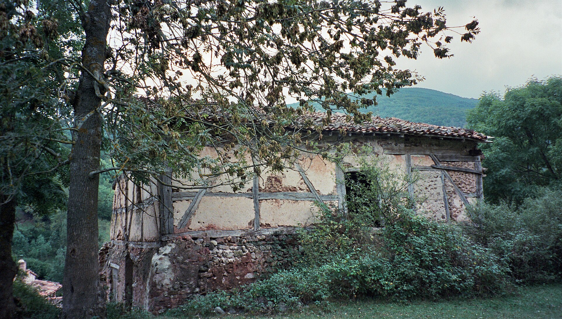 Casa tradicional abandonada de entramado de madera y adobe, con la teja hundida en parte y la vegetación tapando la fachada, en Turza (La Rioja)