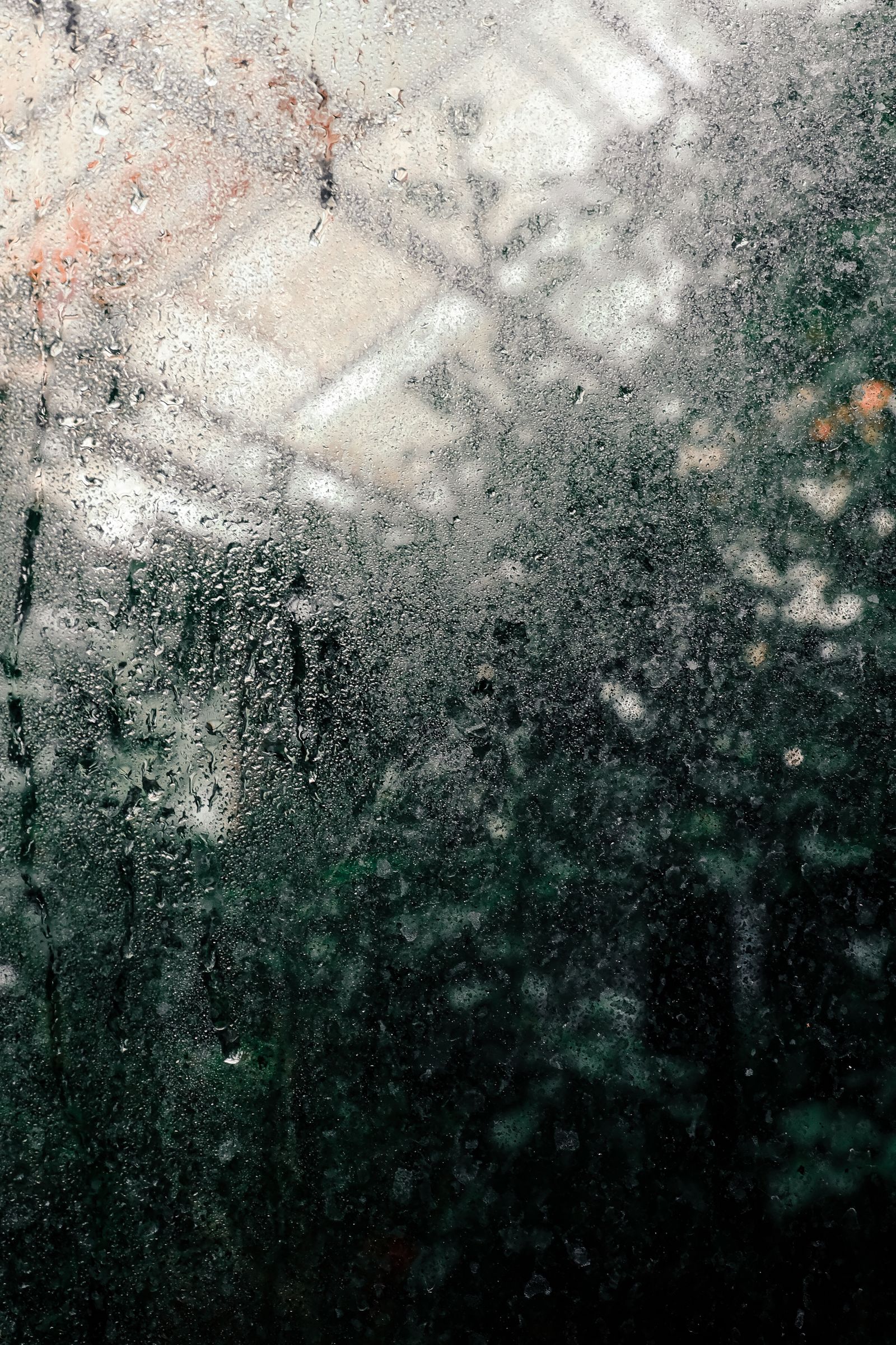 Cristal de una ventana cubierto de condensación, con gotas que resbalan y el jardín desenfocado al otro lado