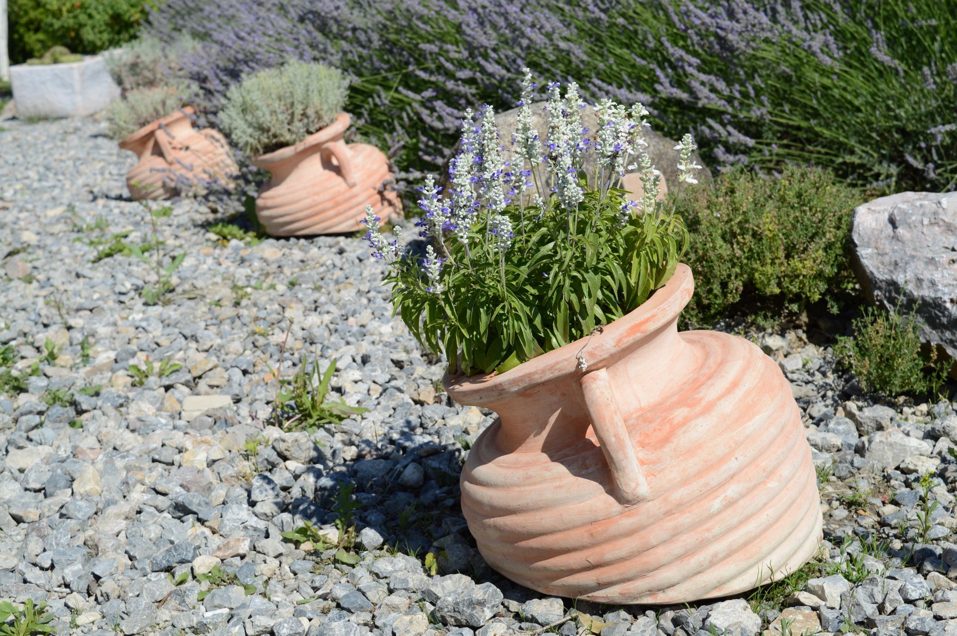 Jardín mediterráneo de bajo consumo con lavanda, salvia en tinajas de barro y camino de grava al sol
