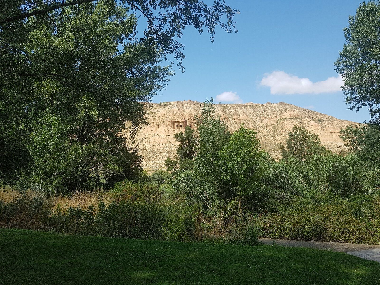 Arboleda del Parque del Ebro en Logroño con los cortados del monte Cantabria al fondo bajo un cielo azul