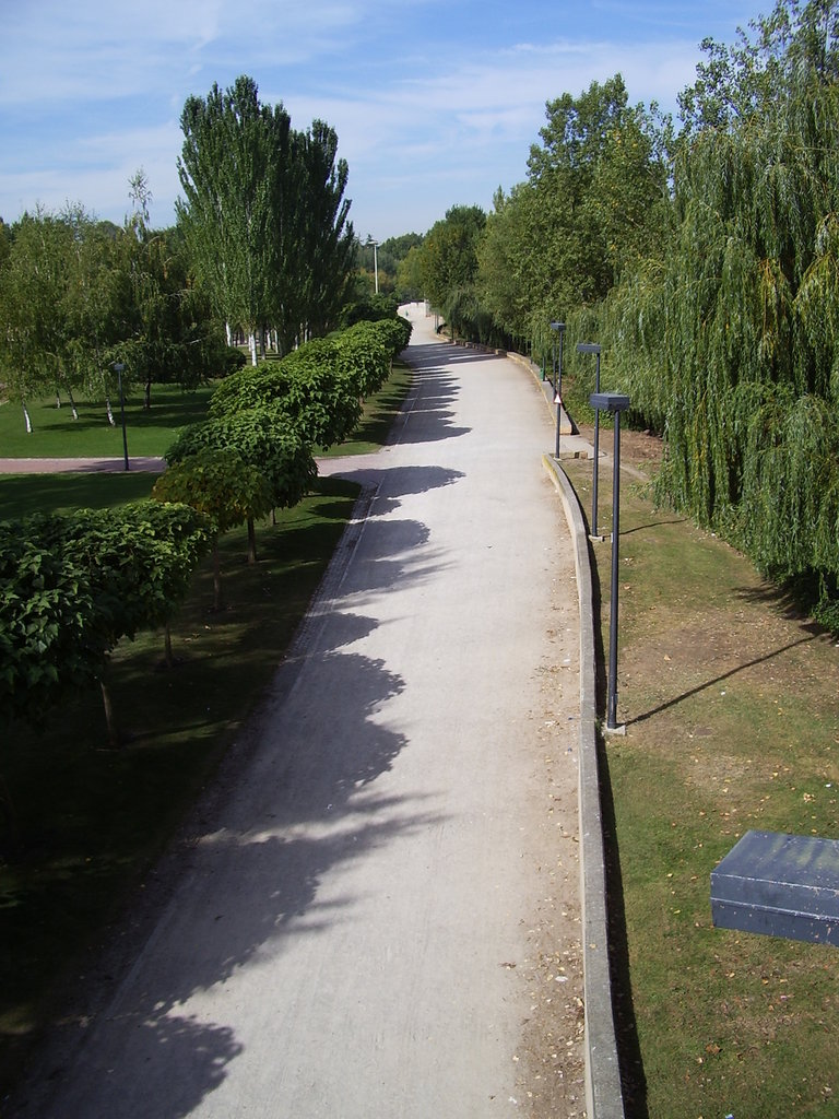 Paseo arbolado del Parque del Ebro en Logroño, con farolas y césped a ambos lados