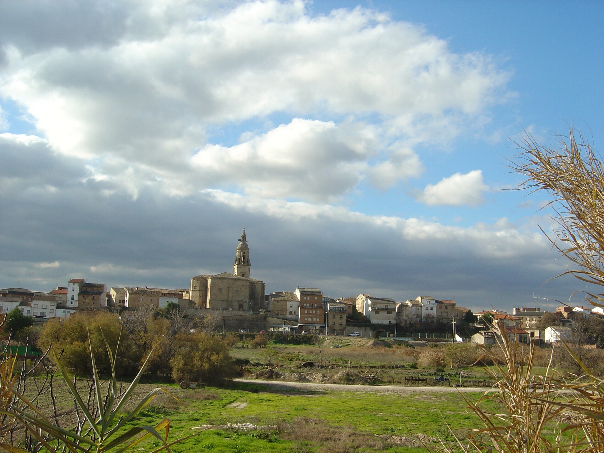 Vista general de Mendavia, en la Ribera de Navarra, con la torre de la iglesia sobre el caserío y la huerta en primer plano